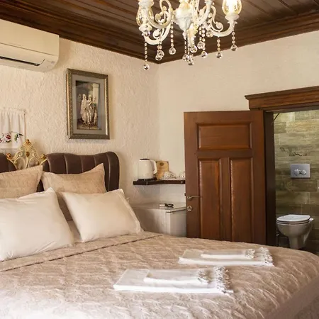 Hotel Teos *