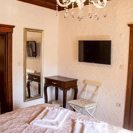 Hotel Teos *