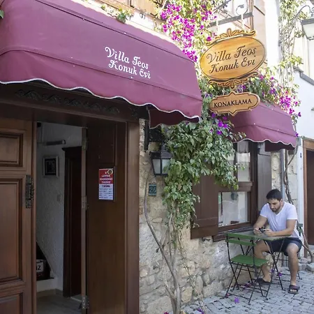 Hotel Teos *
