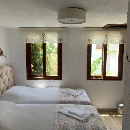 Hotel Teos