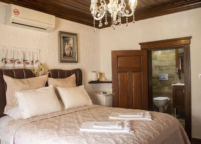 Hotel Teos *